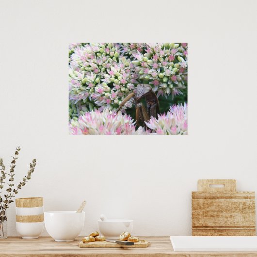 Mantis 79 ~ print (Keuken)