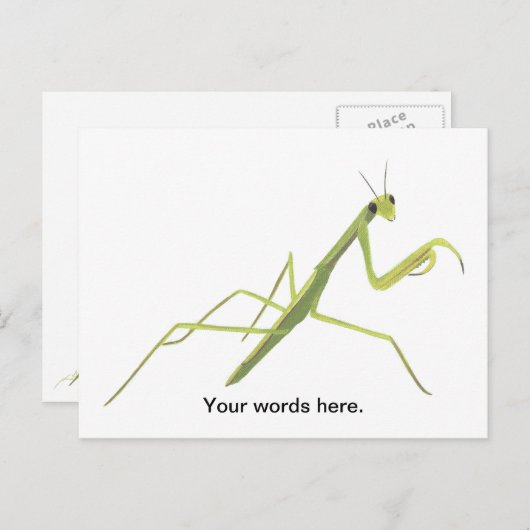 Mantis die aangepaste Briefkaarten schilderen (Voorkant / Achterkant)
