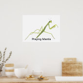 Mantis die aangepaste Posters schilderen (Keuken)