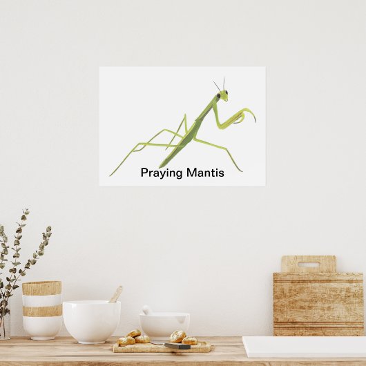 Mantis die aangepaste Posters schilderen (Keuken)