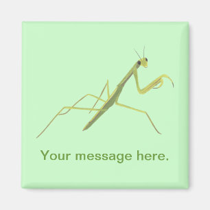 Mantis die je woorden schilderen, snufjes magneet