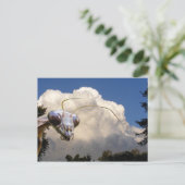 Mantis et Cloud ~ carte postale (Debout devant)