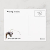 Mantis et Cloud ~ carte postale (Dos)