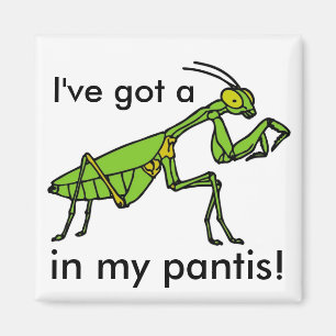 Mantis in mijn Pantis. Magneet