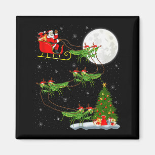 Mantis Insect Kerstman slee vliegend grappig magis Magneet