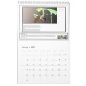 Mantis Man "Le Dieu du Khoi" ? Calendrier (Jan 2027)