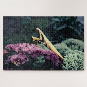 Mantis Paarse Gebedspuzzel - 20x30'' 1014 stukjes Legpuzzel