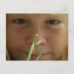 Mantis religosa briefkaart