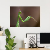 Mantis religosa poster (Thuiskantoor)