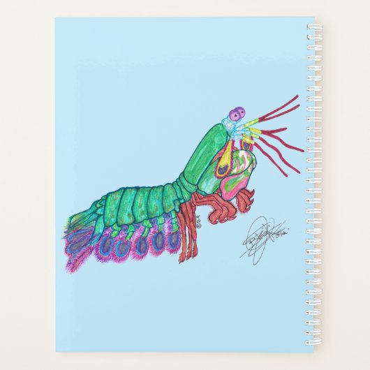 MANTIS SHRIMP (Dos)