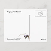 Mantis Skin ~ carte postale (Dos)