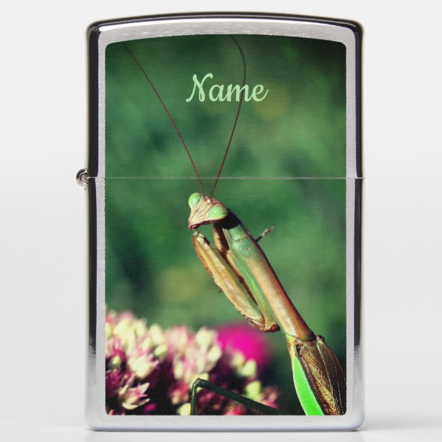 Mantis up Close Personalized (Voorkant)