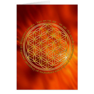 Mantra Moola / Blume Des Lebens   feu rouge