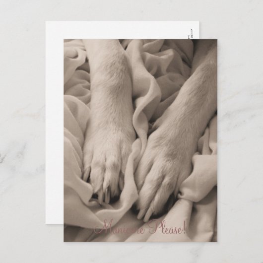 Manucure Please ~ Carte postale (Devant / Derrière)