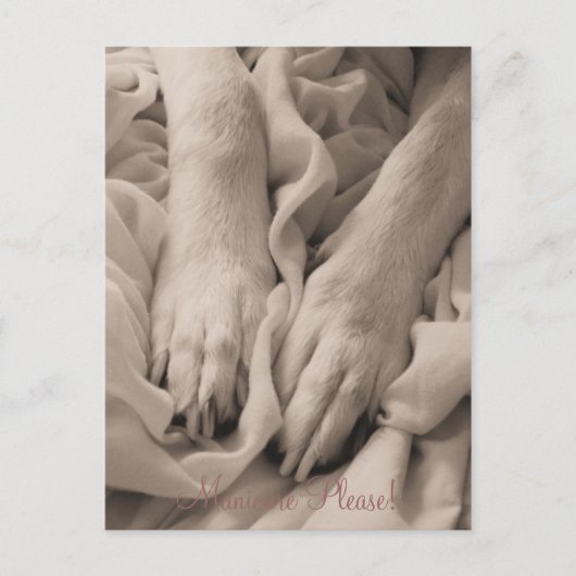 Manucure Please ~ Carte postale (Devant)
