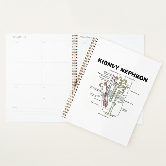 Manuel d'anatomie de Kidney Nephron Grey (Devant avec enveloppe)