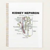 Manuel d'anatomie de Kidney Nephron Grey (Devant)