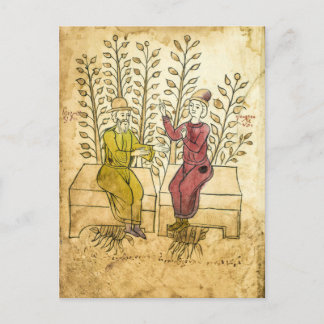 Manuscrit Herbaliste Médiéval réel photo carte pos