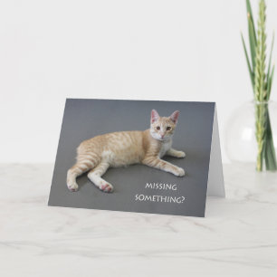 Manx Cat Birthday Kaart beroemd gemaakt door Focus