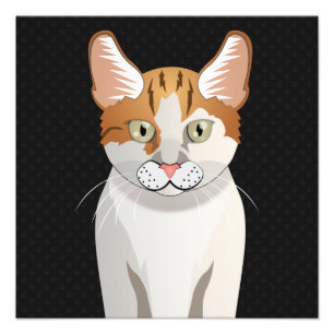 Manx Cat Cartoon Paws Foto Afdruk