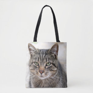 Manx Cat Tas
