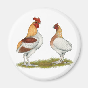 Manx Rumpies Magneet