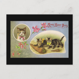 Many Happy Briefkaart