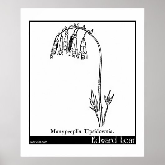 Manypeeplia Upsidownia. Poster (Voorkant)