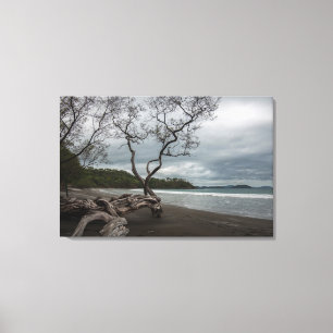 Manzanillo Canvas Afdruk