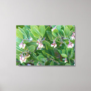 manzanita bloemen omhuld doek canvas afdruk