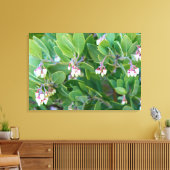 manzanita bloemen verpakt canvas (Insitu (Woonkamer))