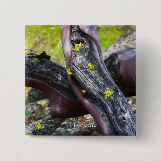 Manzanita Button (Voorkant)
