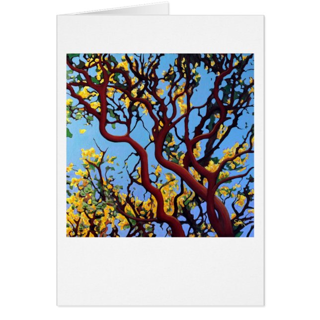 Manzanita en automne (Devant)