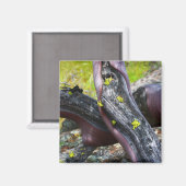 Manzanita Magnet (Recto/Verso)