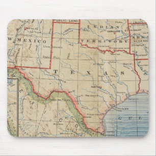 Map of Texas with Towns and Rivers - Antiek 1888 Muismat