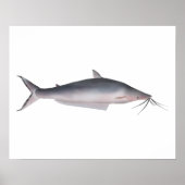 Mapará Poster (Voorkant)