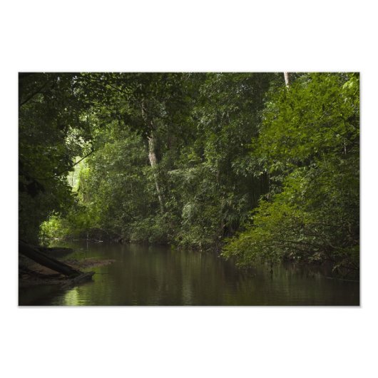 Mapari Rivier, Mapari Rupununi, Guyana. Foto Afdruk (Voorkant)
