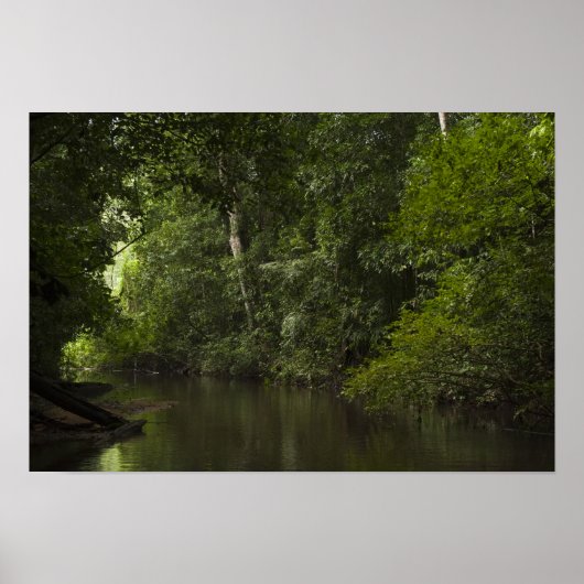 Mapari-rivier, Mapari Rupununi, Guyana. Poster (Voorkant)