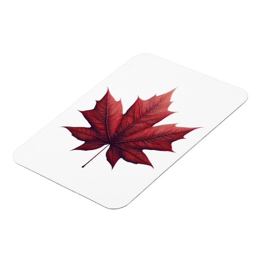 Mapel Leaf Magneet (Linkerzijde)