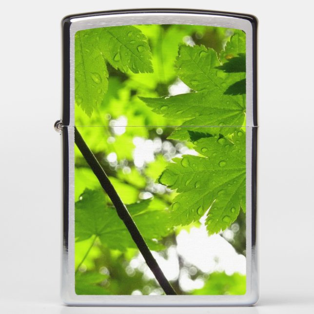 Mapelbladeren met regendruppels (Voorkant)