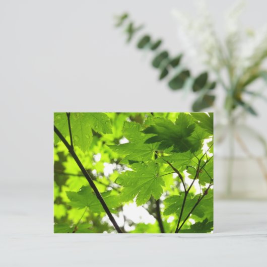 Mapelbladeren met regendruppels briefkaart (Staand voorkant)