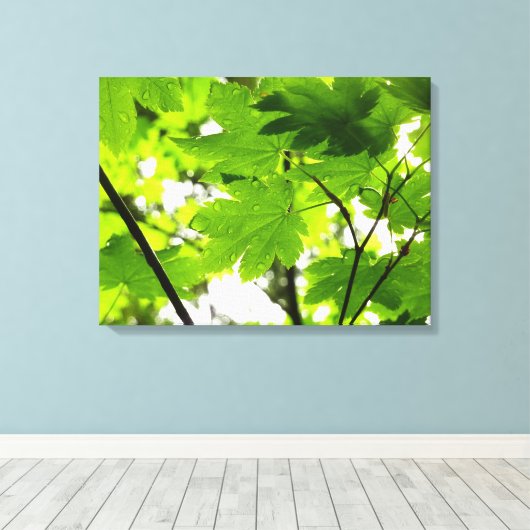 Mapelbladeren met regendruppels canvas afdruk (Insitu (Houten vloer))