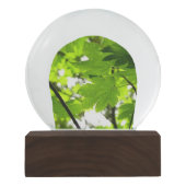 Mapelbladeren met regendruppels sneeuwbol (Voorkant)