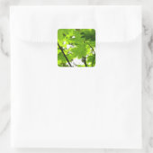 Mapelbladeren met regendruppels vierkante sticker (Tas)