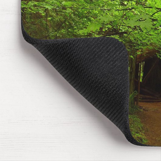 Mapelbomen in het sequoibos muismat (Hoek)