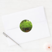 Mapelbomen in het sequoibos ronde sticker (Envelop)