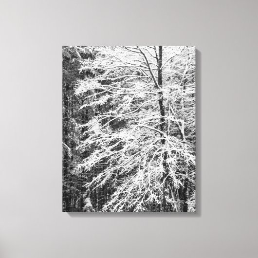 Mapelboom in sneeuw canvas afdruk (Voorkant)