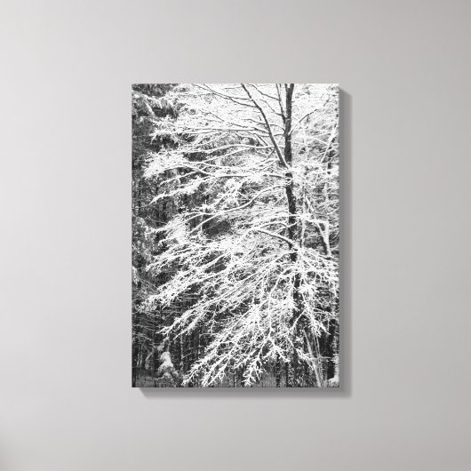 Mapelboom in sneeuw canvas afdruk (Voorkant)