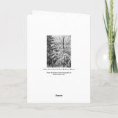 Mapelboom in sneeuw feestdagen kaart (Achterkant)
