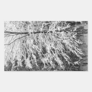 Mapelboom in sneeuw rechthoekige sticker
